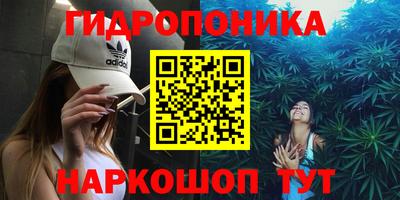 дурь Берёзовский